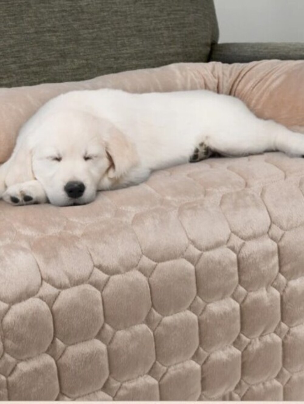 PET SOFA/CHAIR PROTECTOR-35X35-BEIGE